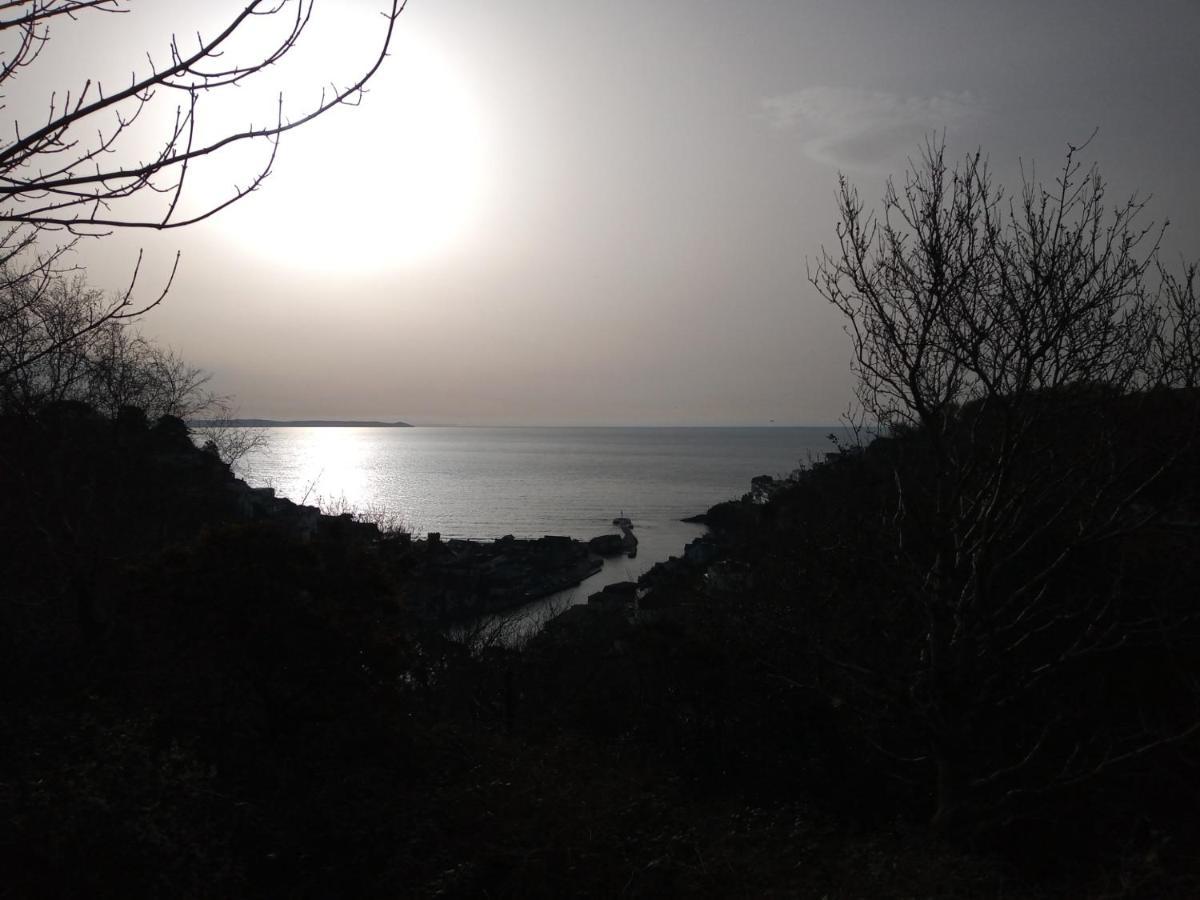 West Looe Downs Apartment Екстериор снимка